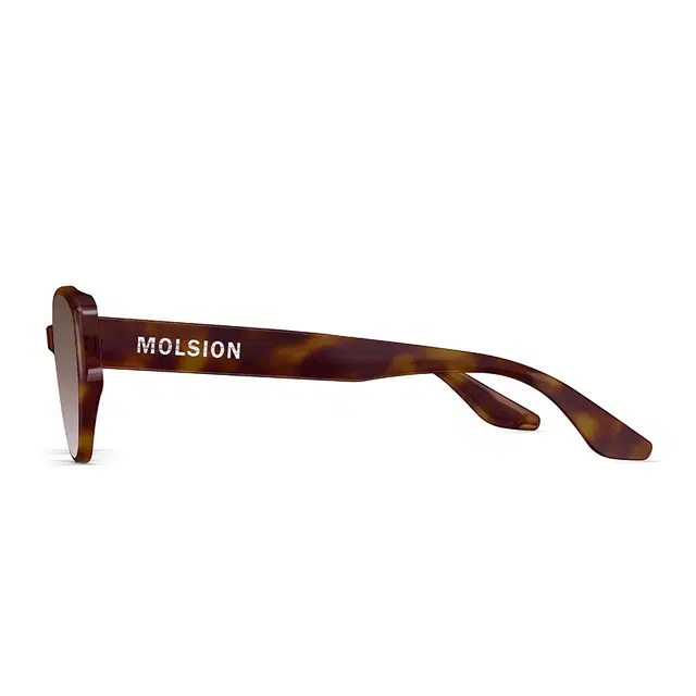 MOLSION