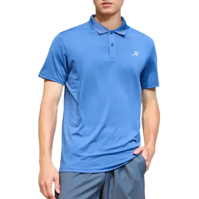 LogoPolo