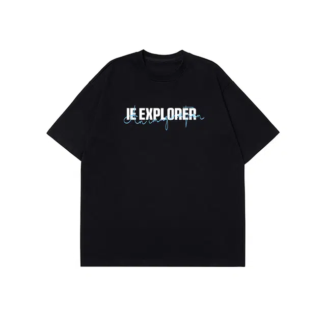 IE logoT