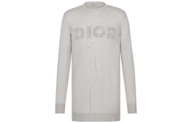DIOR FW21 Logo