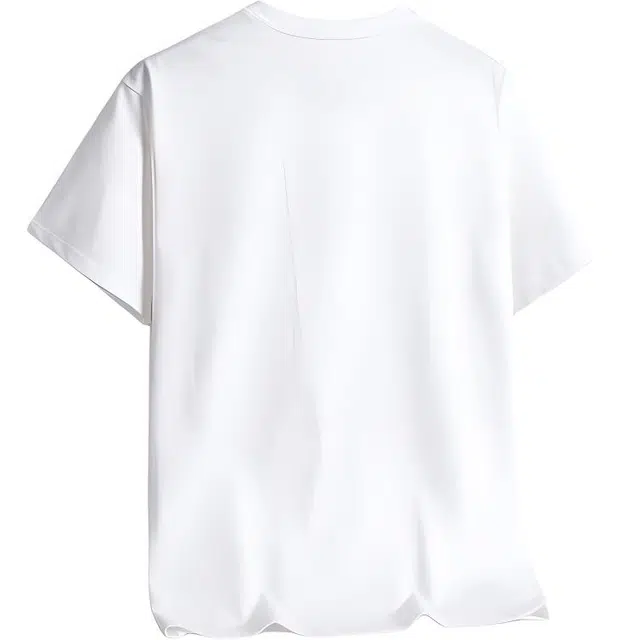 LSVE NASA T