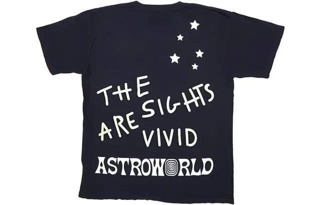 Travis Scott Cactus Jack Astro World T