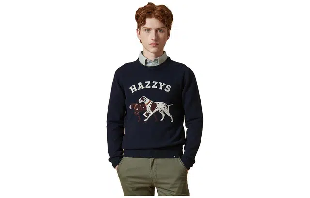 HAZZYS