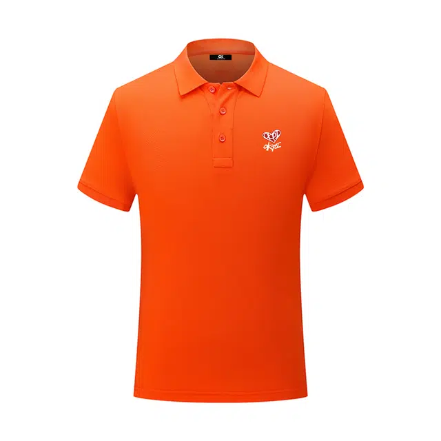 OKPI LogoPolo