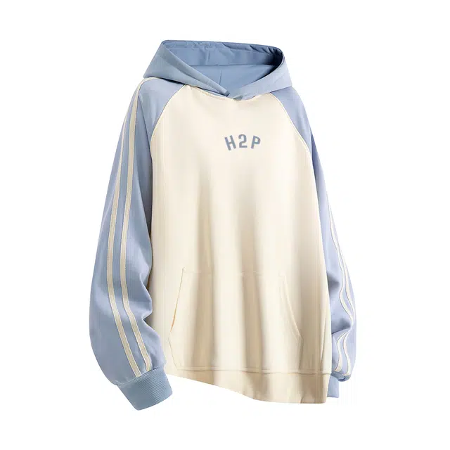 H2P 3D