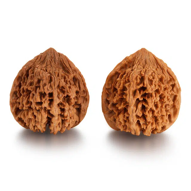 41-42mm