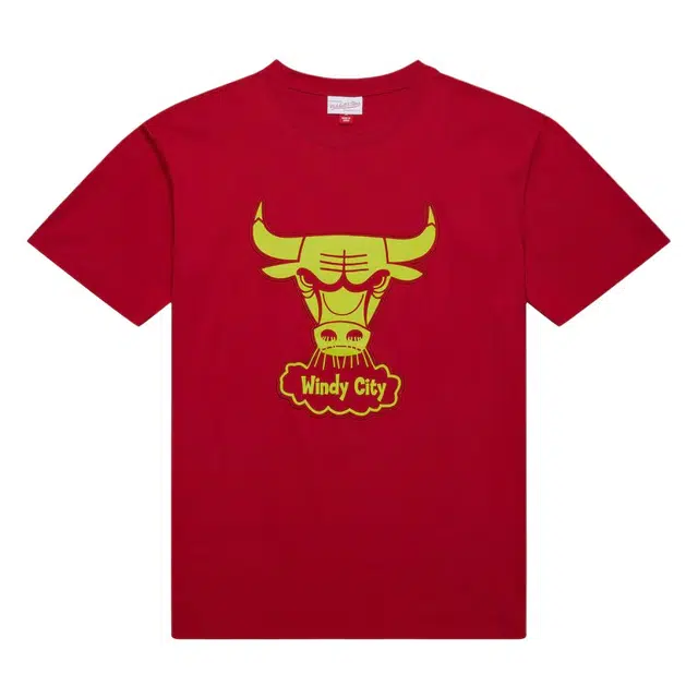 Mitchell Ness x NBA LOGOT