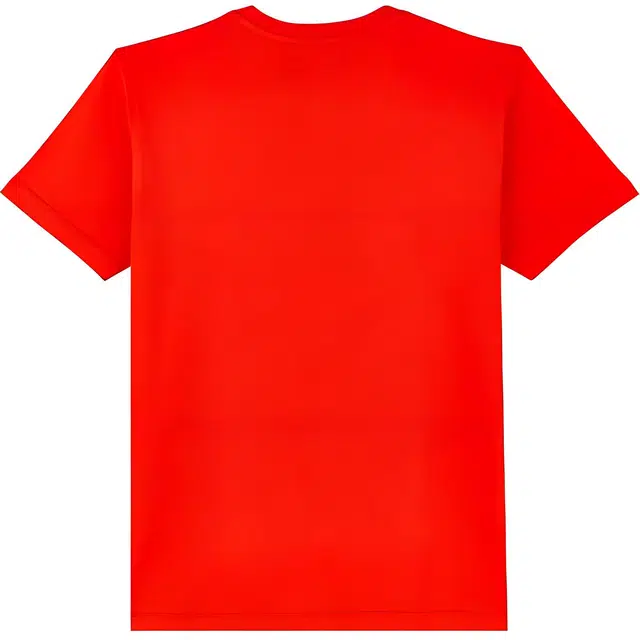 Vilebrequin T