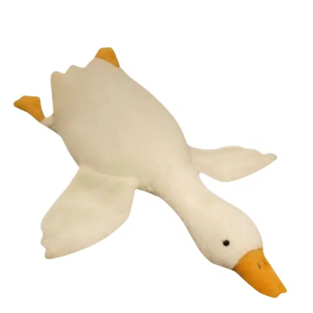 50cm