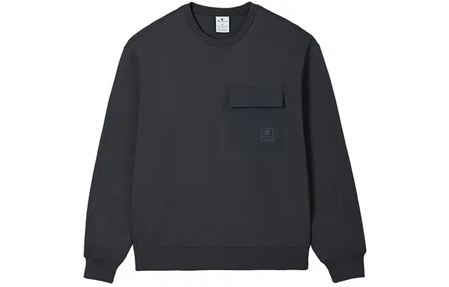 Champion FW24 c-tech Logo