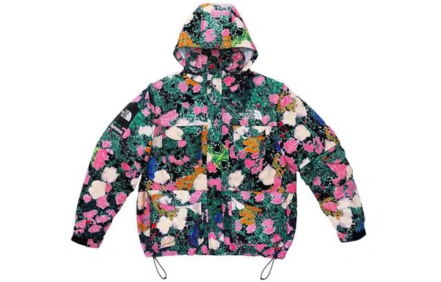 Supreme x The North Face