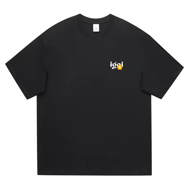 IGOI LogoT