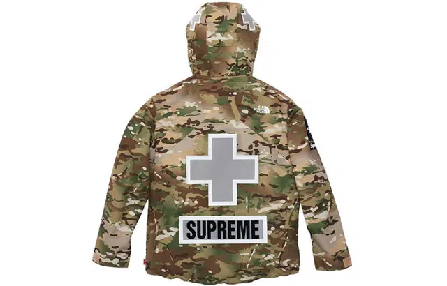 Supreme x THE NORTH FACE SS22TNF