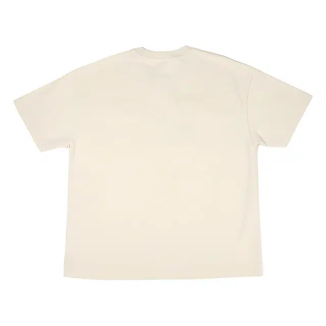 Revenge T