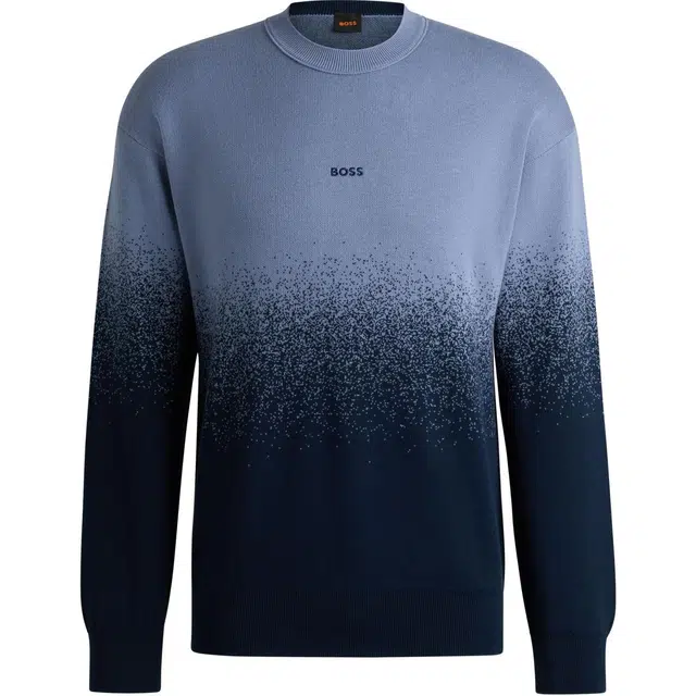 HUGO BOSS Logo