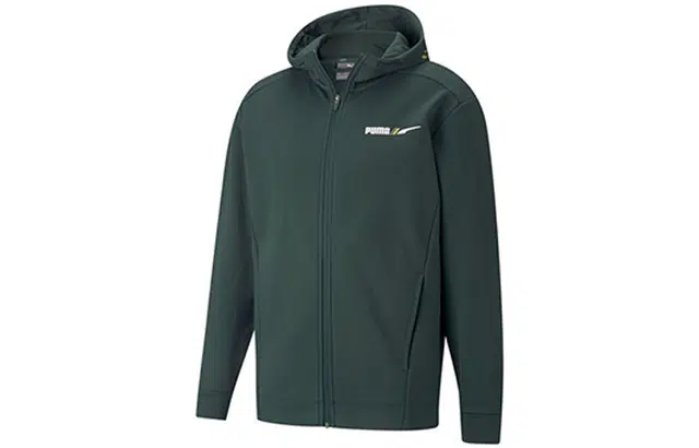Puma Winterized Logo