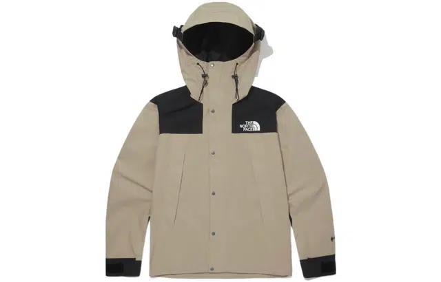 THE NORTH FACE Eco Gtx Logo