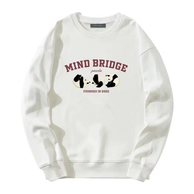MindBridge