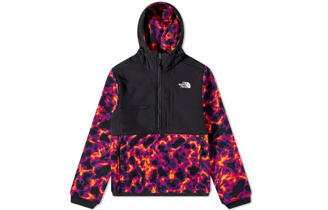 The North Face Printed Denali 2 Anorak