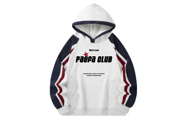 PAEFA Logo