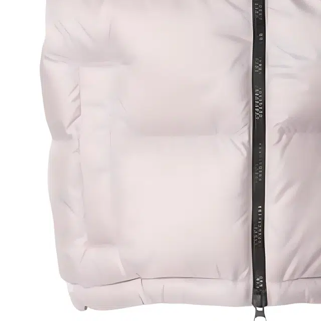 THE NORTH FACE Nupsi FW24 WL logo