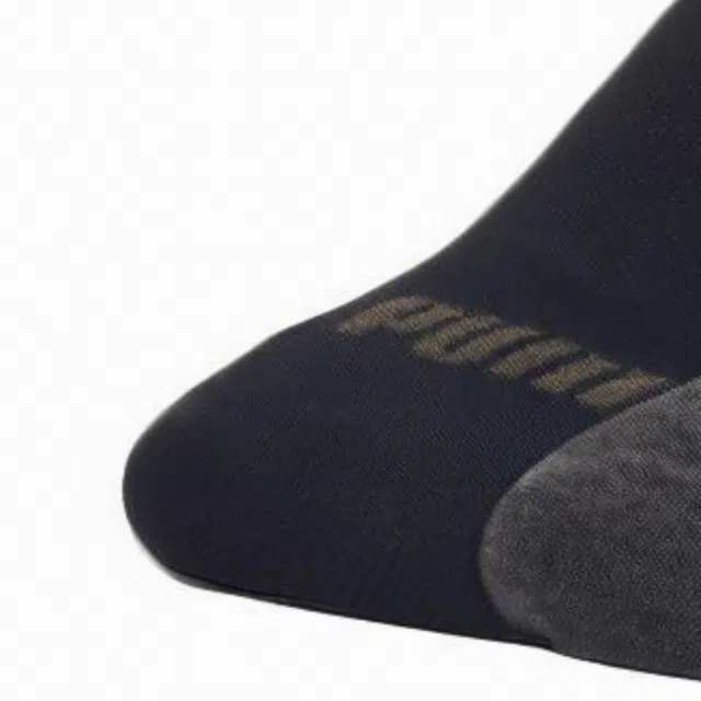 Puma Logo