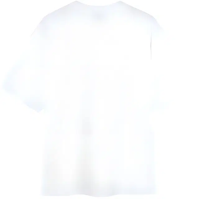 PAINT STAIN T