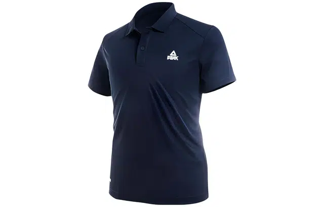 LogoPolo
