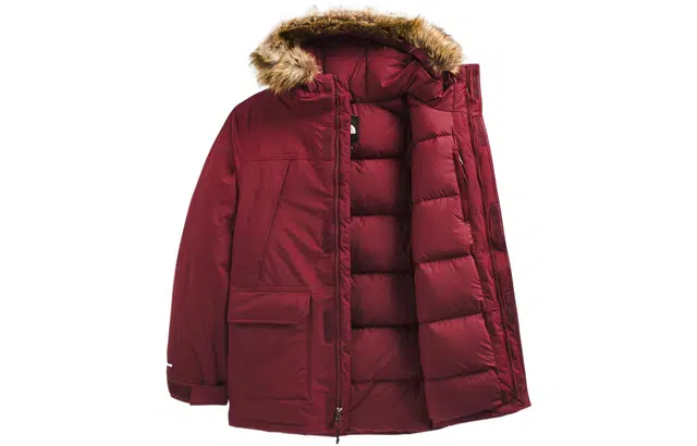 THE NORTH FACE FW22 Logo