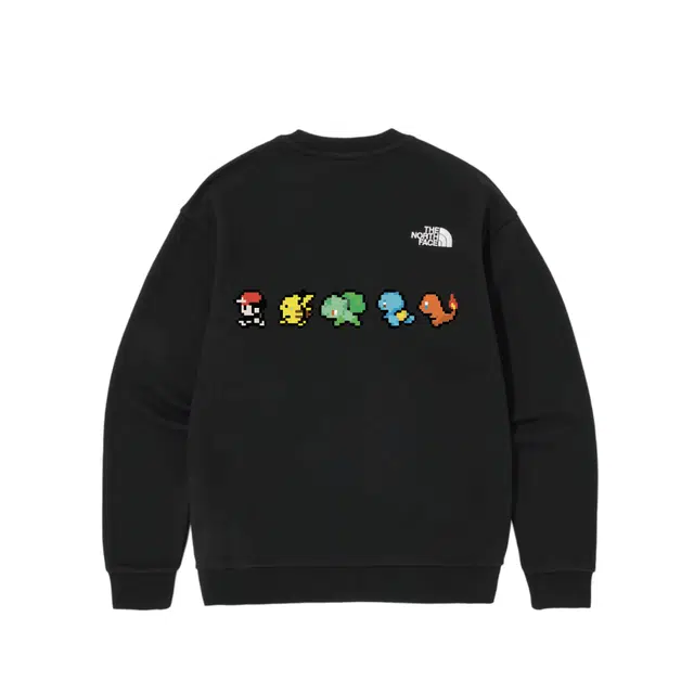 THE NORTH FACE