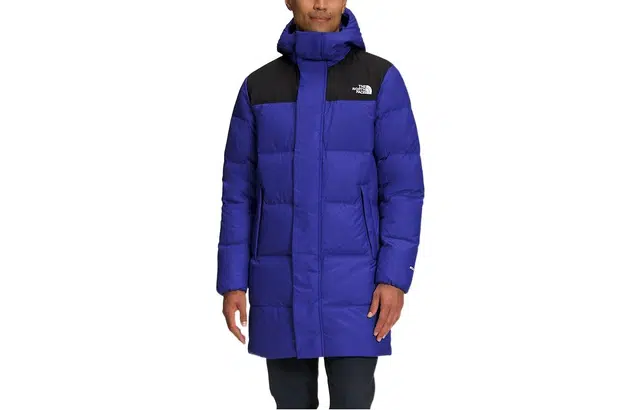 THE NORTH FACE FW22 Logo