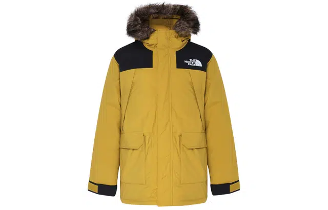 THE NORTH FACE Logo