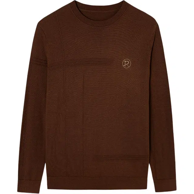 才子 精致亮片不规则线条提花长袖针织衫 男款 棕色