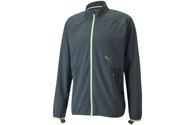 Puma Logo