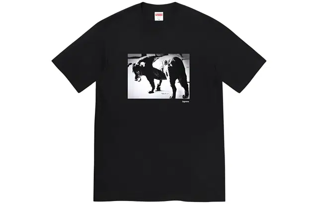 Supreme SS22 Week 19 Daid Moriyama Dog Tee T
