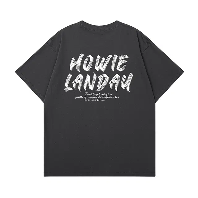HOWIE LANDAU logoT