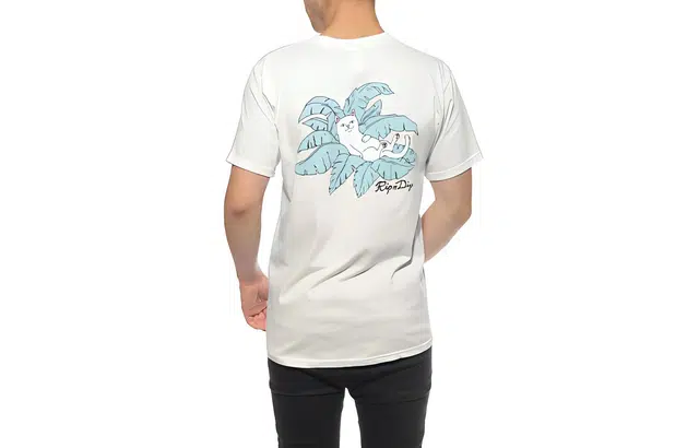 RIPNDIP T