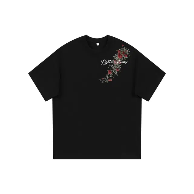 Lightning X Storm logo300T