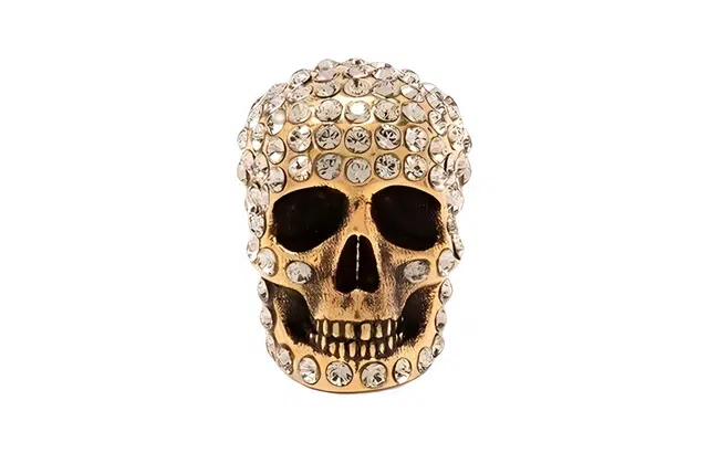 Alexander McQueen