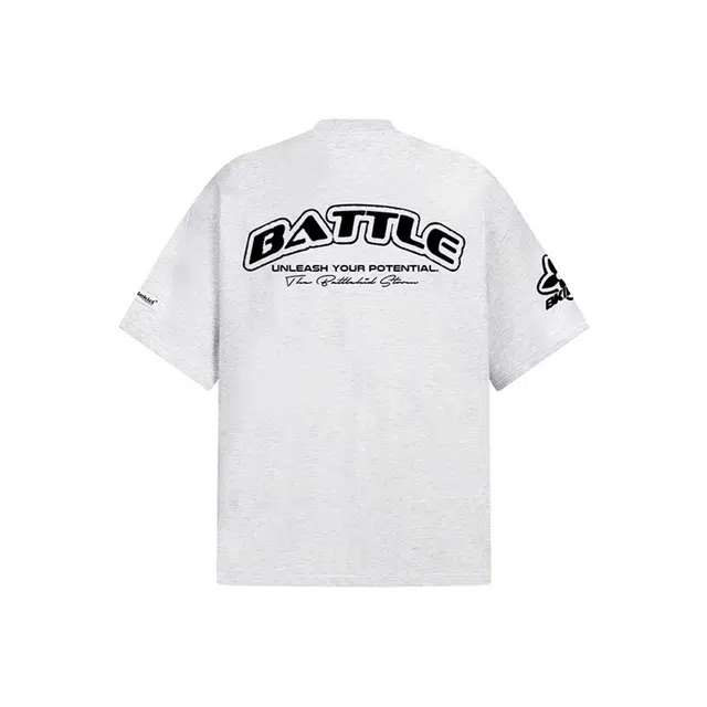 PAINT STAIN GTALT