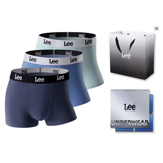 Lee 3