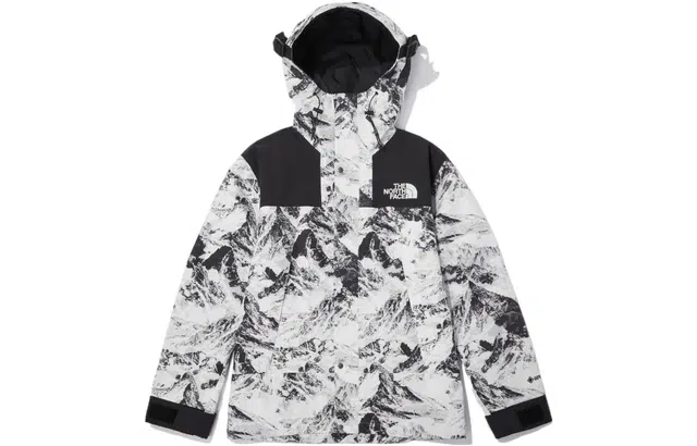 THE NORTH FACE 1990 Gore Tex