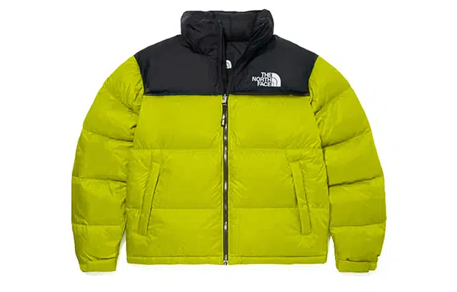 THE NORTH FACE 1996 Nuptse 700