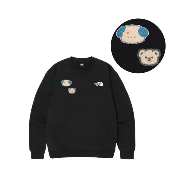 THE NORTH FACE