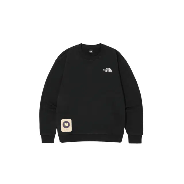 THE NORTH FACE M