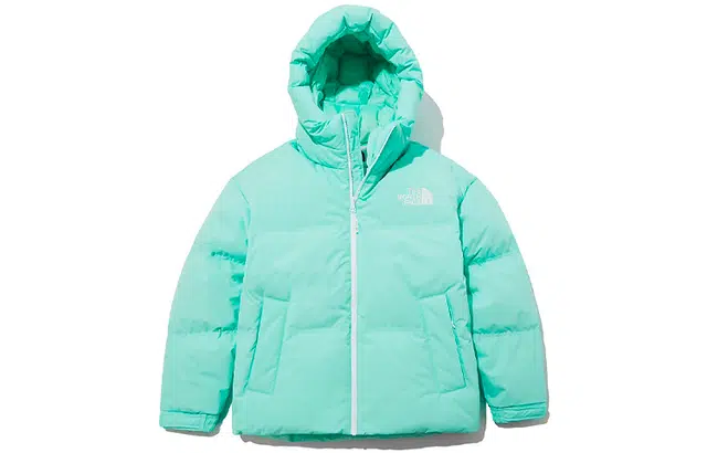 THE NORTH FACE 1996 Nuptse eco Logo