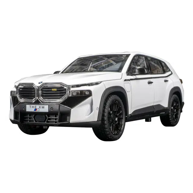 BABYS 1ST XMSUV