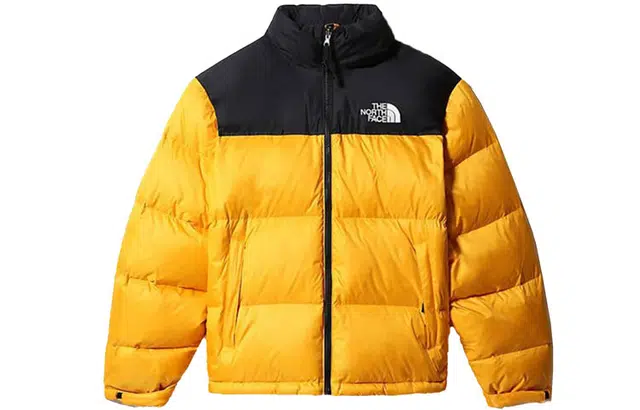 THE NORTH FACE ICON 700