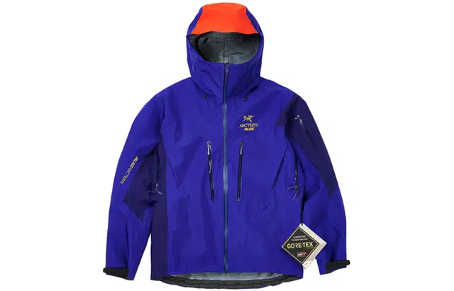 Arcteryx x PALACE