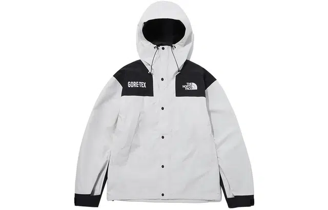 THE NORTH FACE 1990 GTXlogo
